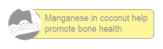 Bone Health